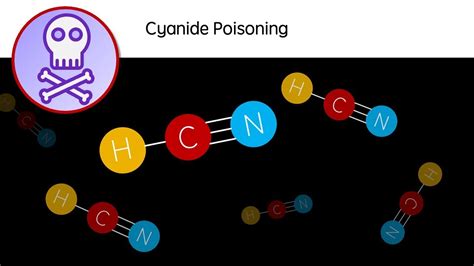 Cyanide Poisoning Hcn A Deadly Poison Biology Revision Video