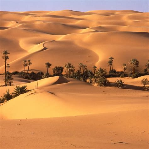 Desert Oasis Wallpaper 57 Images