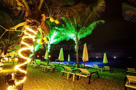 Tropical Beach At Night Time Stock Image Image Of Leaves Vacation