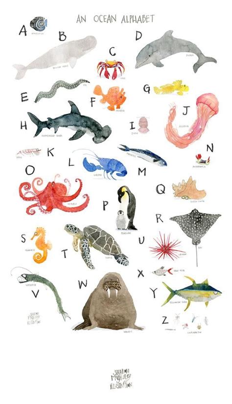 Ocean Animal Alphabet Art Print Marine Biology Abc Poster For Etsy