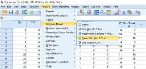 Research methods is a broad term. How to do a within-subjects t-test in SPSS - DataFox Research