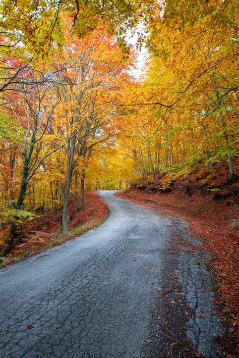 Twisty Autumn Road Stock Image Image Of Country Brown 91124755