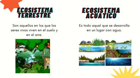Tomidigital El Ecosistema Terrestre Y Acuático
