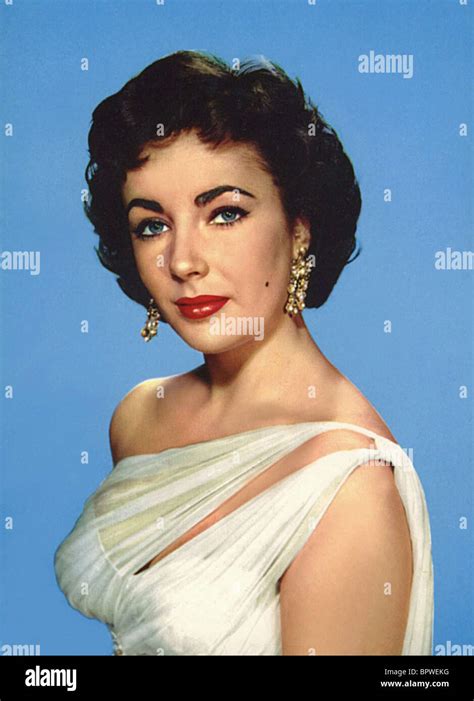 Elizabeth Taylor Actress 1952 Stock Photo Alamy