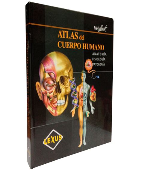 Plidelsa Atlas Del Cuerpo Humano Anatomia Fisiologia Y Patologia