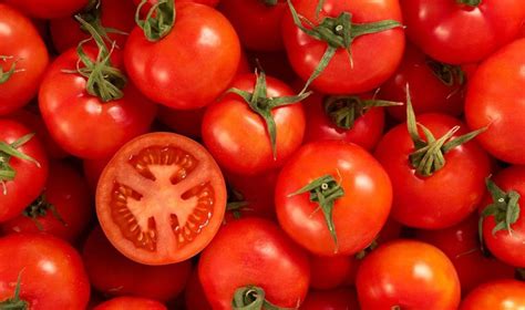23 Best Why Is A Tomato A Fruit Best Round Up Recipe Collections