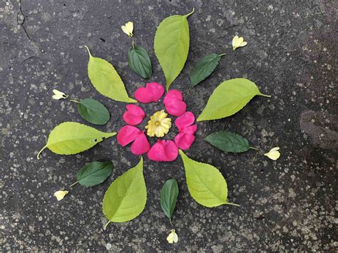 Blog: unearth wholeness | SEE DEEPLY