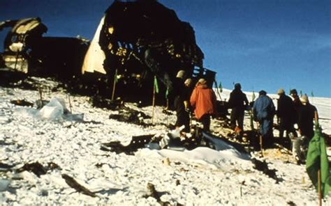 Consequences Mt Erebus Disaster 1979