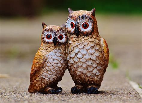 Free Photo Owls Birds Figures Funny Cute Free Image On Pixabay