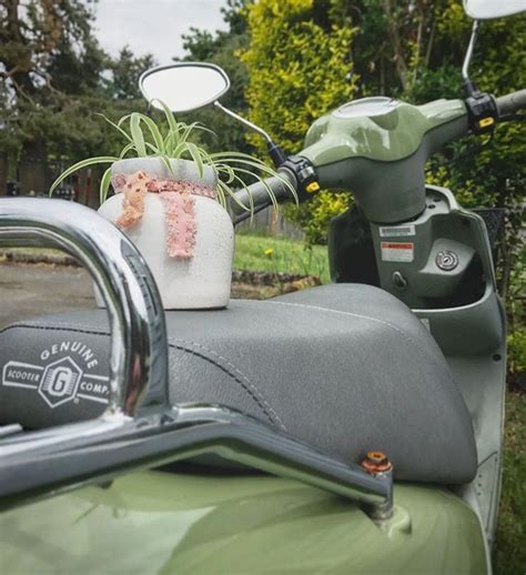 2014 genuine stella 125 auto doovi scooter co buddy 50 review. Buddy 50cc Scooter | 50cc, Best scooter, Scooter
