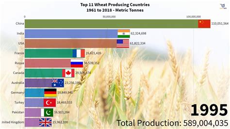 Top 11 Wheat Producing Countries Youtube