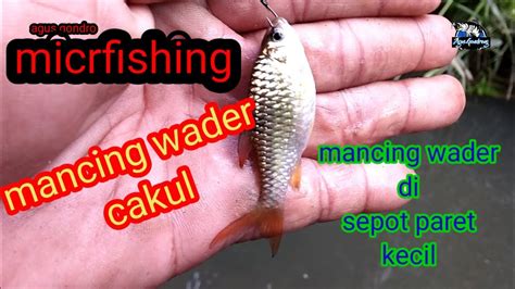 Micro Fishing Mancing Wader Cakul Youtube