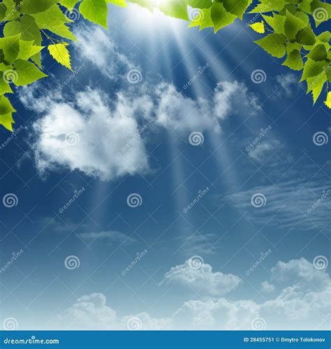 Under The Blue Skies Stock Image Image Of Green Environment 28455751