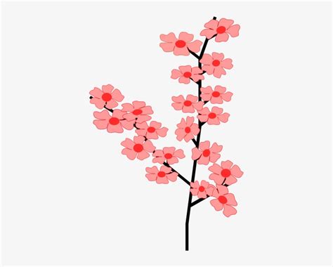 Cherry Blossom Flower Clipart Cherry Blossom Flowers Of