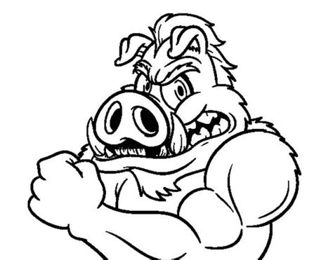 Coloring Pages Wild Boars Printable For Kids And Adults Free