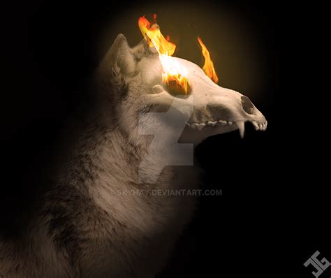 Wolf On Fire By Skyhay On Deviantart