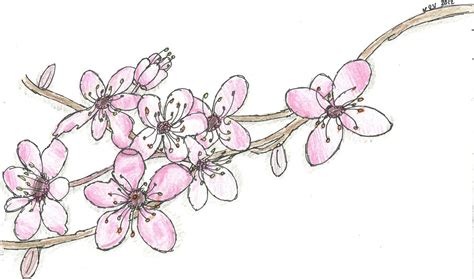 Cherry Blossoms By Katieverf On Deviantart