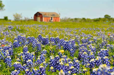 A Tale Of Seasons When S The Best Time To Visit Texas