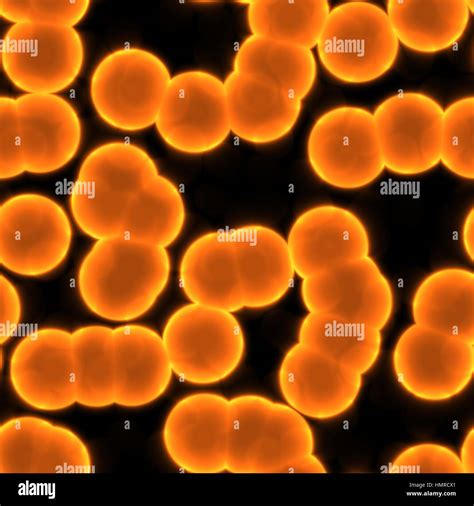Human Cells Hi Res Stock Photography And Images Alamy