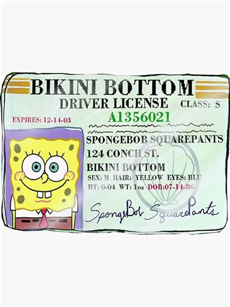 Spongebobs Drivers License Sticker By So Basically Im Baby
