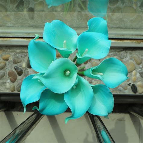 1000+ designs at your finger tips. Pool Blue Calla Lily Bouquet Wedding Decorative Flowers ...