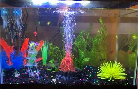 5 Cool Fish Tank Themes That Will Inspire You