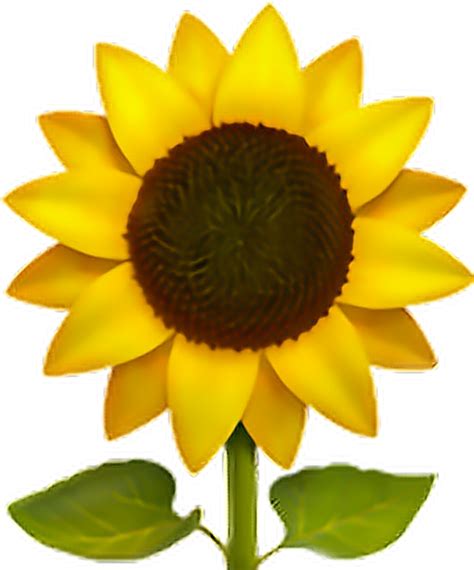 Emoji clipart sunflower, Emoji sunflower Transparent FREE for download ...