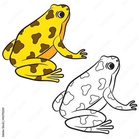 Cartoon Of Poison Dart Frog Coloring Page Vector Stock Vector Adobe