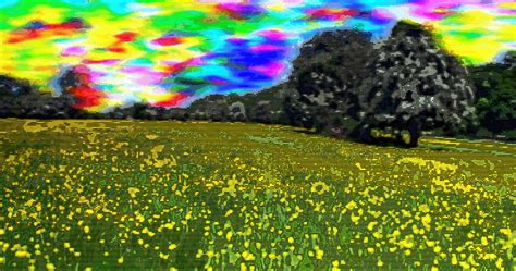 Meadow By Blakeheh On Deviantart