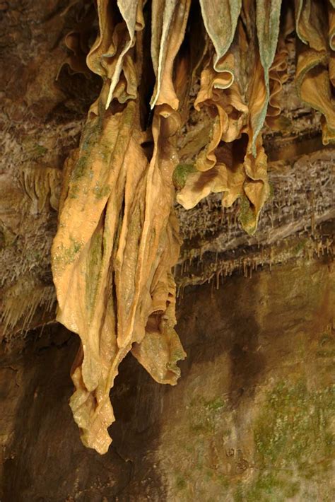 Search listings worldwide · over 2 million listings About the Caverns - Smoke Hole, WV Lodging | Smoke Hole Resort