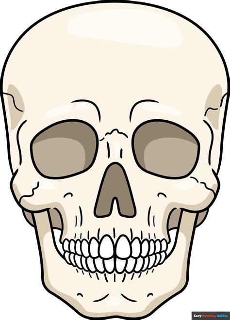 How To Draw A Realistic Skull Really Easy Drawing Tutorial