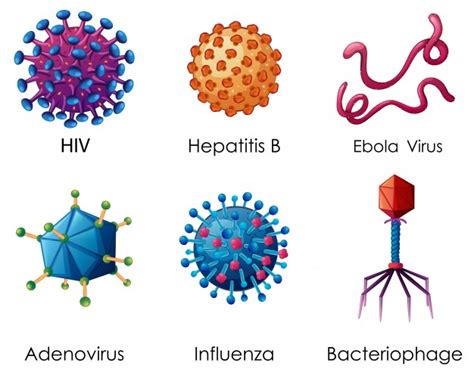 A virus is a chain of nucleic acids (dna or rna) which lives in a host cell, uses parts of the cellular a virus is often housed in a protein coat or protein envelope, a protective covering which allows the. Sei tipi di virus su sfondo bianco | Scaricare vettori gratis