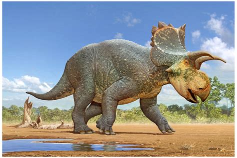 New Dinosaur Discovered In Arizona Kjzz