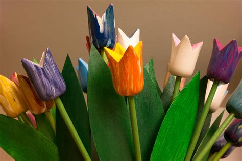 Free Images Light Wood Flower Petal Tulip Decoration Green