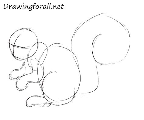Kwami step by step | i do not have a name for the kwami yet, i am leaning towards mii? How to Draw a Squirrel | Drawingforall.net