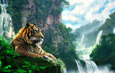 Tiger Forest Wallpapers Top Free Tiger Forest Backgrounds