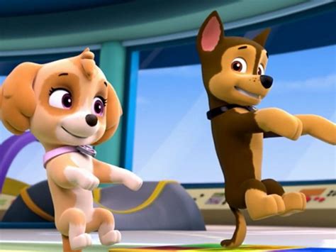 Skye X Chase PAW Patrol Animated Couples Photo Fanpop