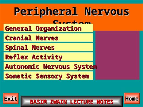 Ppt Spinal Nerves Dermatomes And Cranial Nerves Handout For Cranial