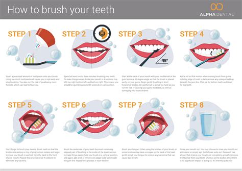 How To Brush Your Teeth INFOGRAPHIC Infographic Plaza