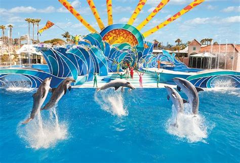Seaworld San Diego 2019 All You Need To Know Before You Go With Photos San Diego Ca