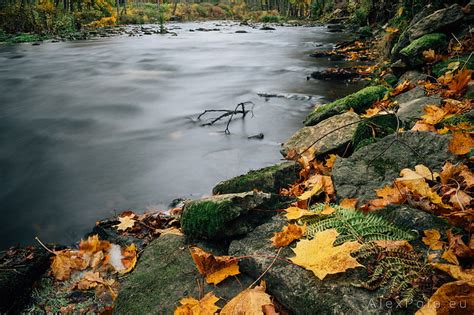 Hd Wallpaper Autumn River Stones England Moss North Yorkshire