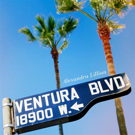 Alexandra Lillian Reminisces On Intimate Moments In New Single “ventura Boulevard” — Pressed Pr