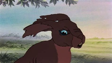 Watership Down And The Incomprehensible Power Of Humanity — The Other Folk