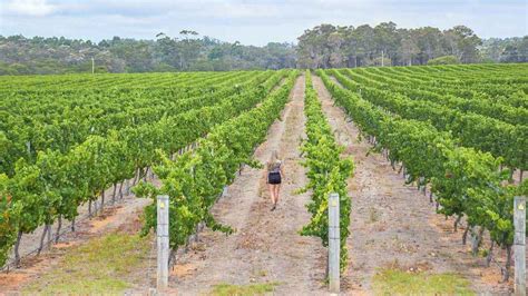 Margaret River Wine Tour A Tour Package That You Must Select Tapscape