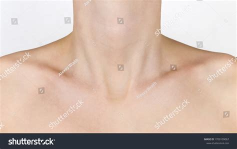Graceful Forms Girl Neck Shoulders Collarbones Stock Photo 1709109067