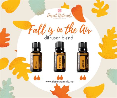 Fall Essential Oil Diffuser Blends For Autumn Fall Essential Oils Essential Oil Diffuser