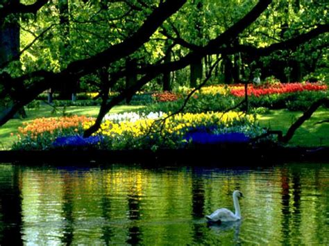 Spring Scenery Wallpaper For Computer Free Download