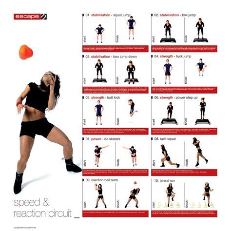 Speed And Reaction Circuit Cardio Workout Cardio Workout Gym Exercise