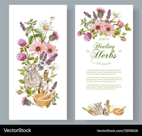 Herbal Banner Royalty Free Vector Image Vectorstock