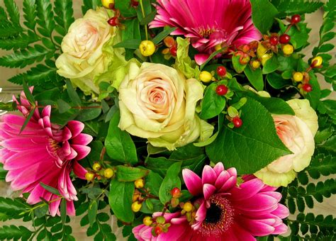 Free Images Petal T Vase Decoration Romance Pink Flora